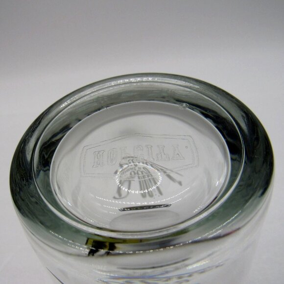 HOP CITY Brewing Co Beer Pint Glass Polly Bird and Hopbot IPA - Picture 10 of 12